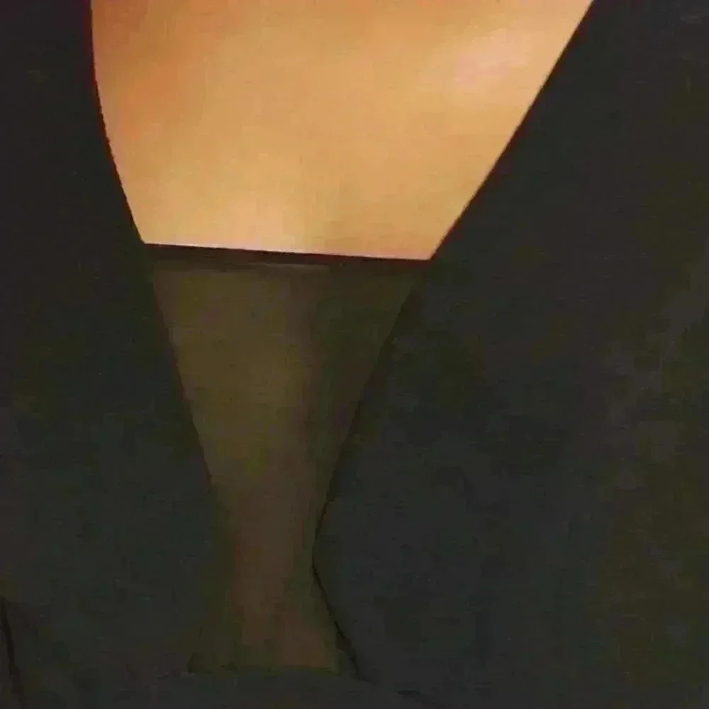 NWT Mesh plunging neckline little black dress - Picture 5 of 7